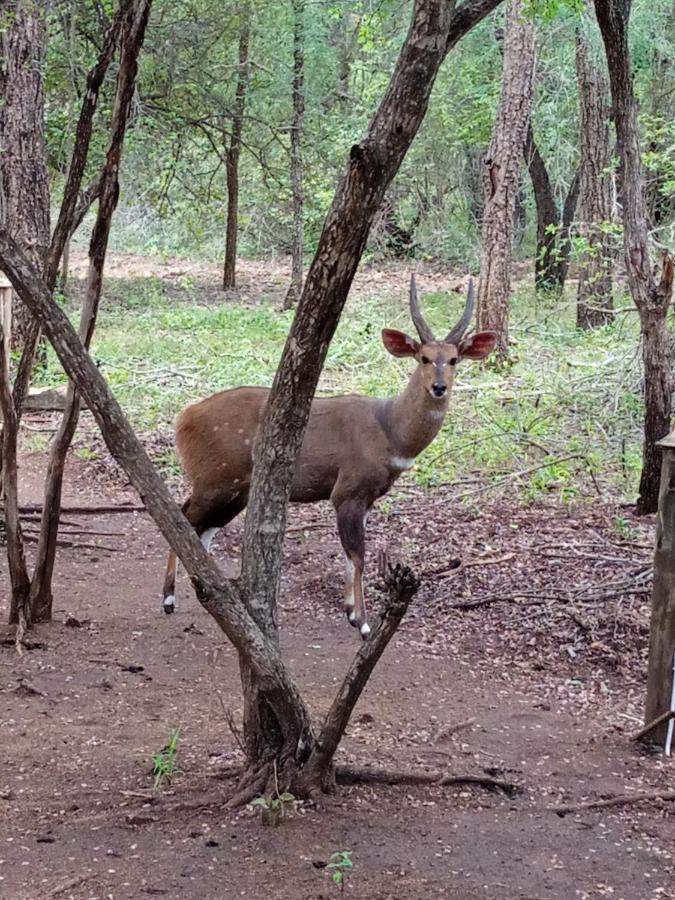 African Sky Villa Marloth Park Esterno foto