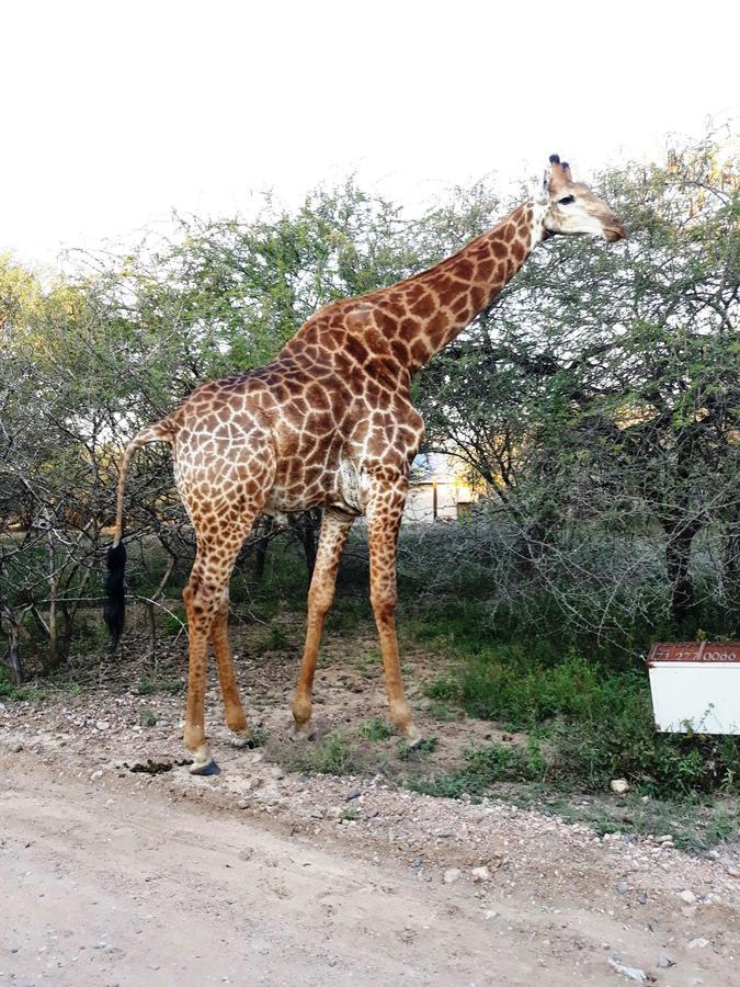 African Sky Villa Marloth Park Esterno foto