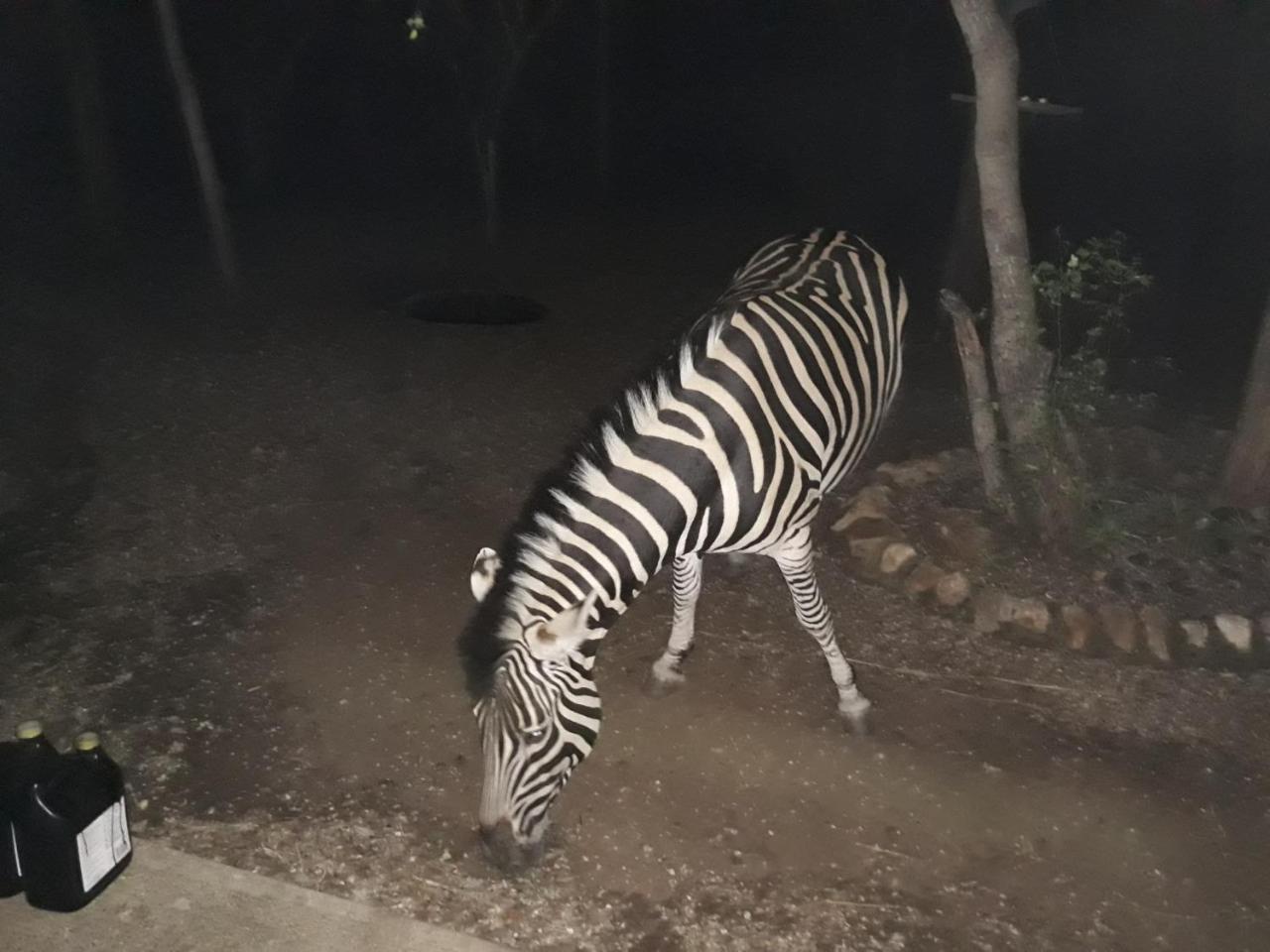 African Sky Villa Marloth Park Esterno foto