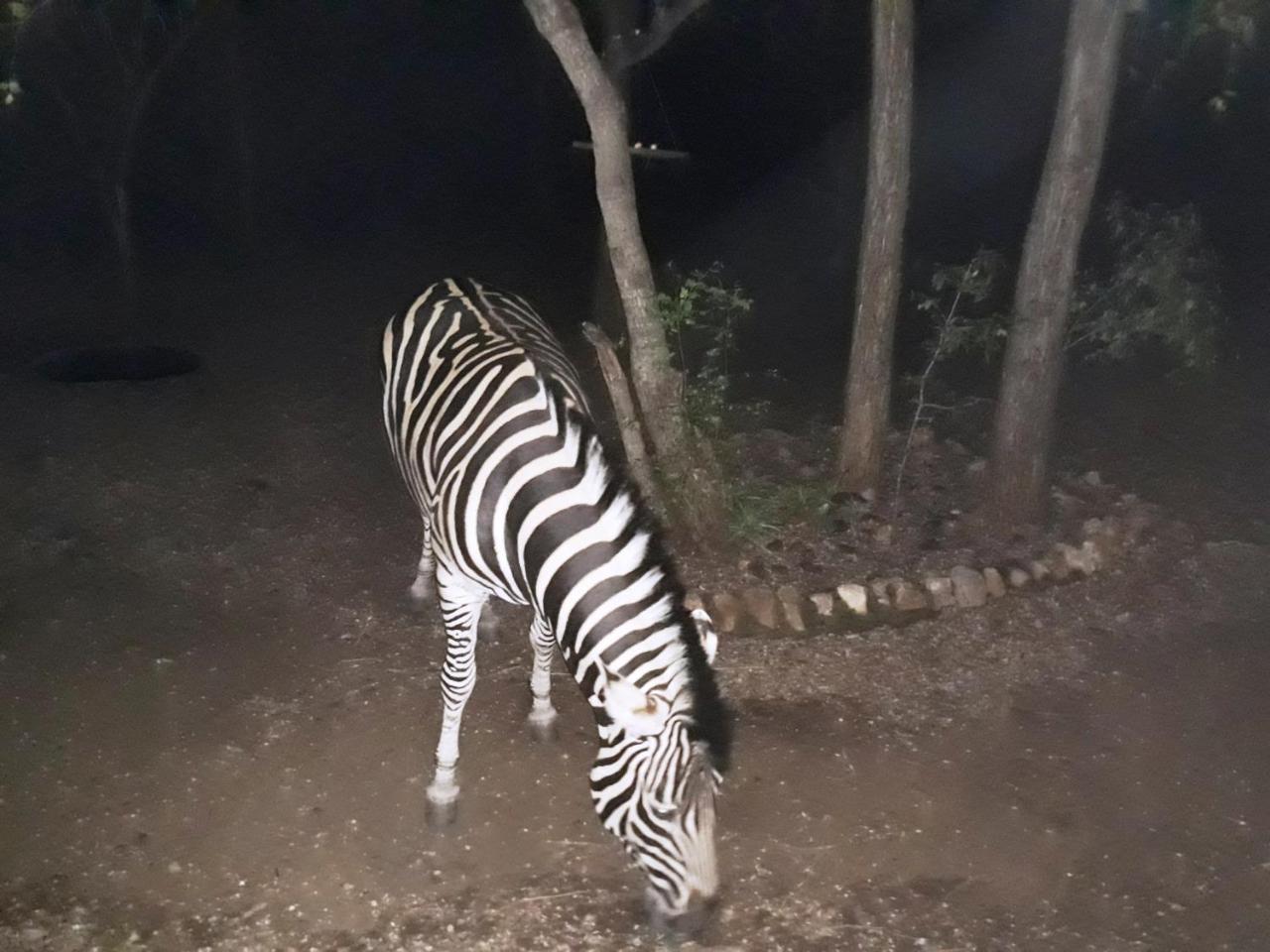 African Sky Villa Marloth Park Esterno foto